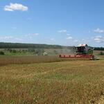 На полях «АгроТрансПорт» завершена уборка озимой пшеницы